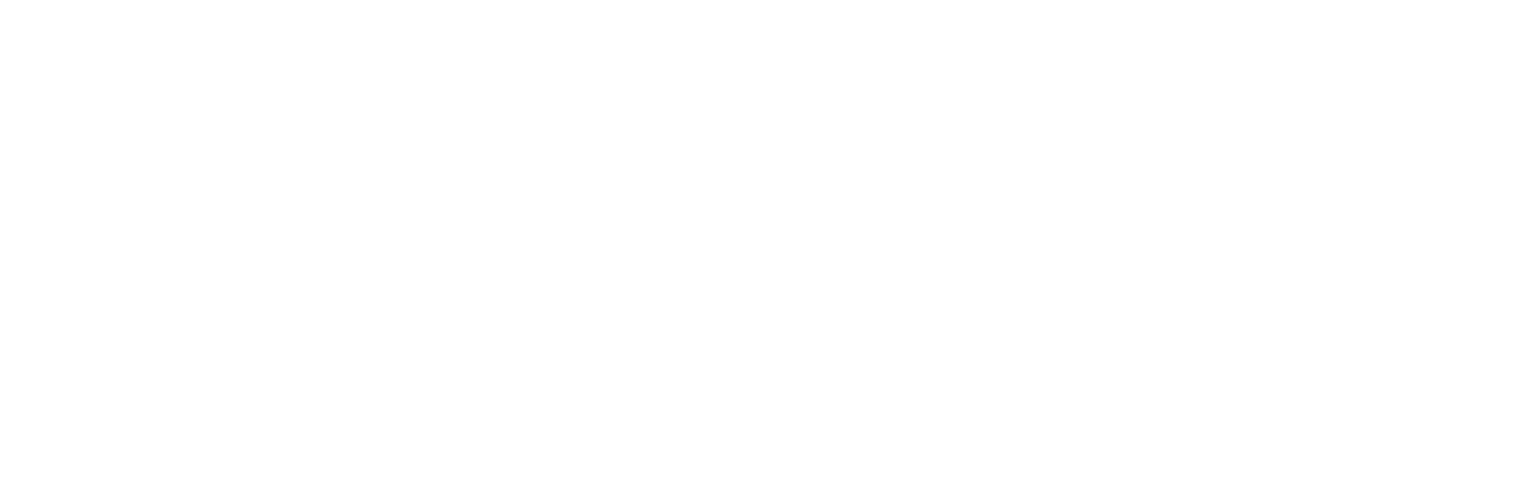 fss-logo-white